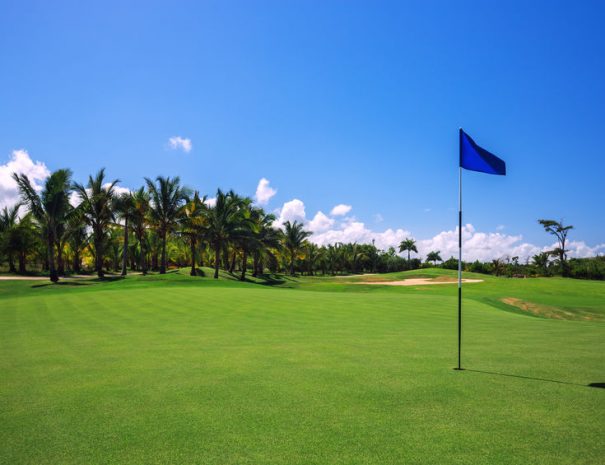 Golf course. Beautiful landscape of a golf court with palm trees in Punta Cana, Dominican Republic
